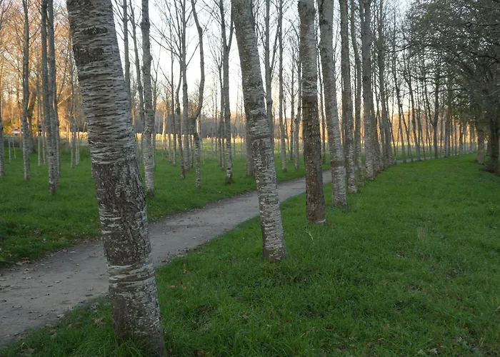 Casa Rustica Con Finca Y Regato Dentro Recien Rehabilitada Situada En El Entorno Del Parque Natural Monte Aloia Y Monte De San Antonino Proxima A Gondomar Y Playas De Nigran