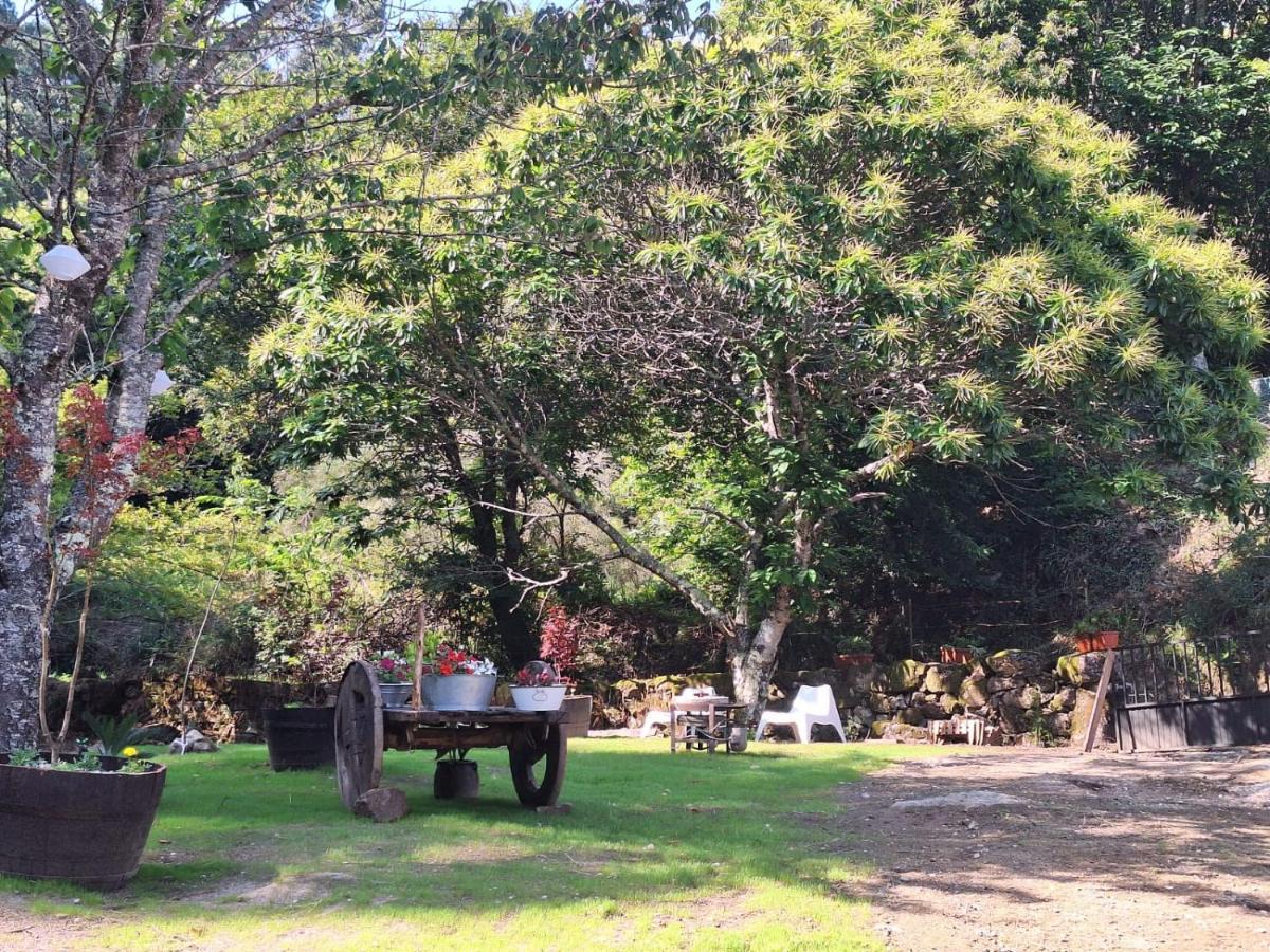 Casa Rustica Con Y Regato Dentro Recien Rehabilitada Situada En El Entorno Del Parque Natural Monte Aloia Y Monte De San Antonino Proxima A Gondomar Y Playas De Nigran * Tui
