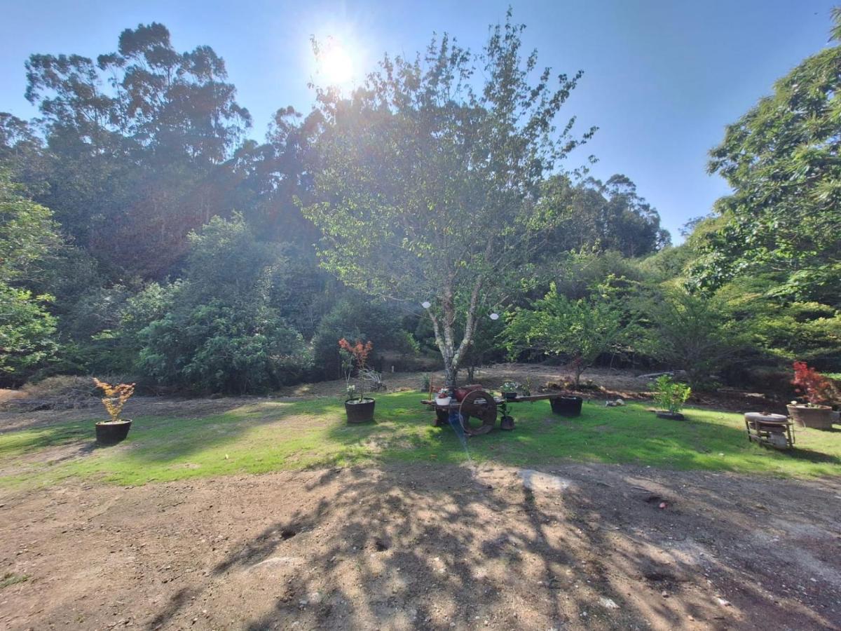 Appartamento Casa Rustica Con Y Regato Dentro Recien Rehabilitada Situada En El Entorno Del Parque Natural Monte Aloia Y Monte De San Antonino Proxima A Gondomar Y Playas De Nigran