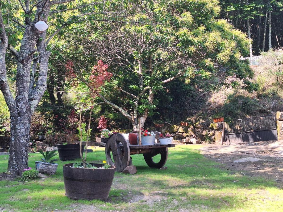 Apartment Casa Rústica Monte Aloia: Rehabilitated Rural Retreat With Natural Stream *