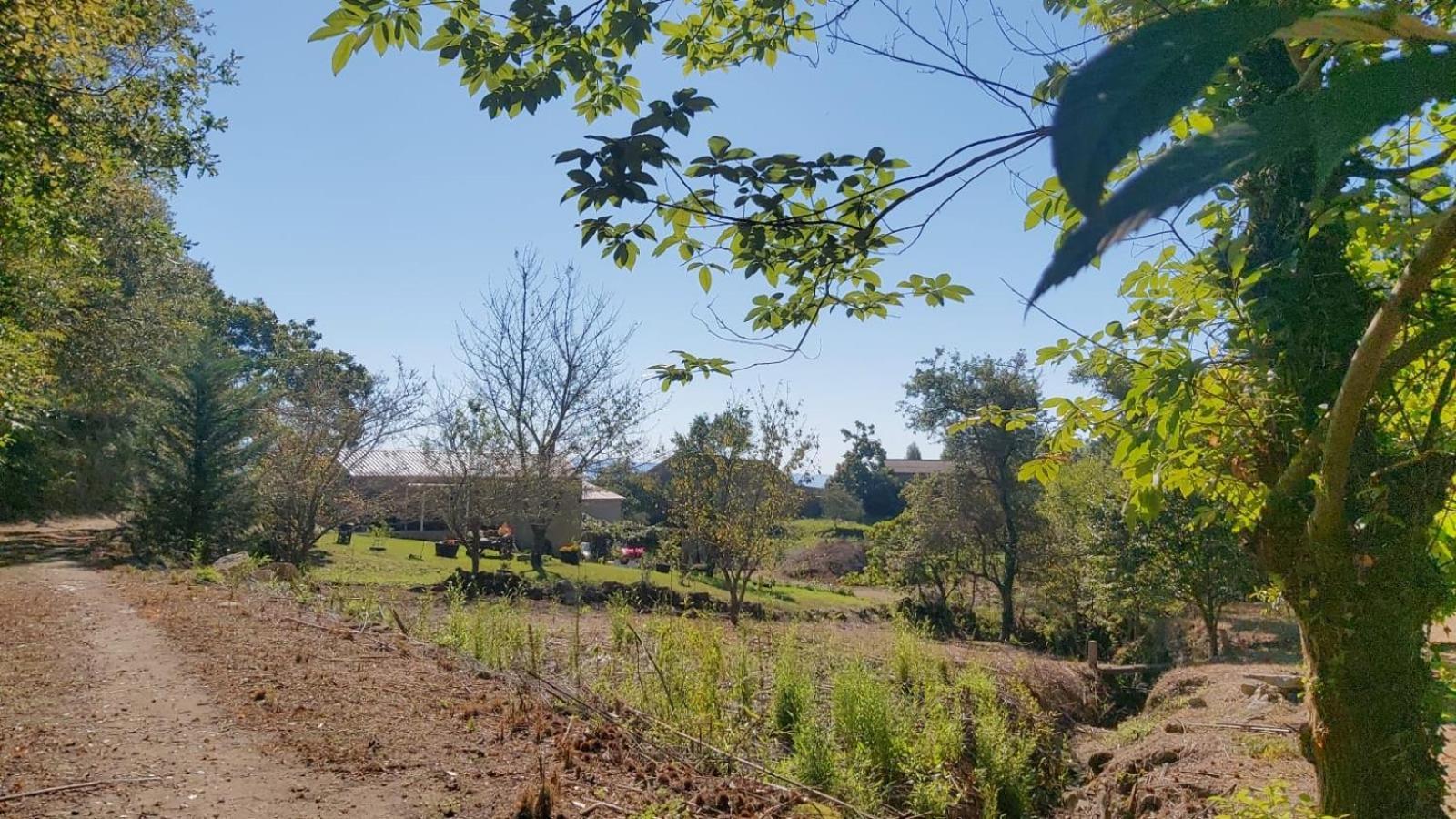 Casa Rustica Con Y Regato Dentro Recien Rehabilitada Situada En El Entorno Del Parque Natural Monte Aloia Y Monte De San Antonino Proxima A Gondomar Y Playas De Nigran Tui