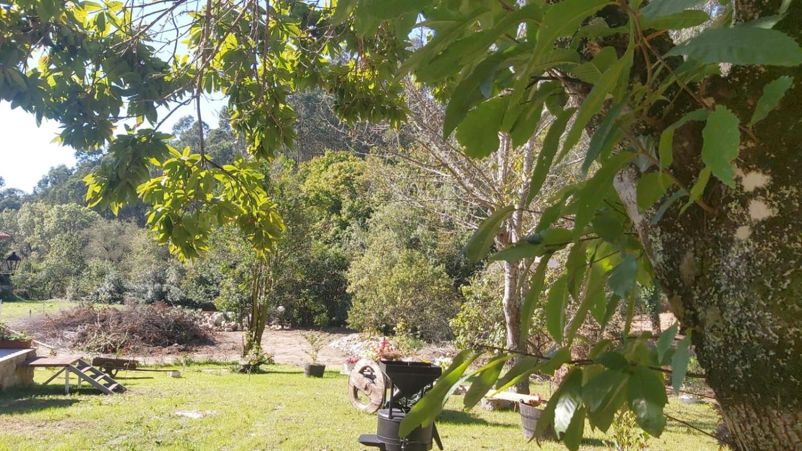 Casa Rústica Monte Aloia: Rehabilitated Rural Retreat With Natural Stream *