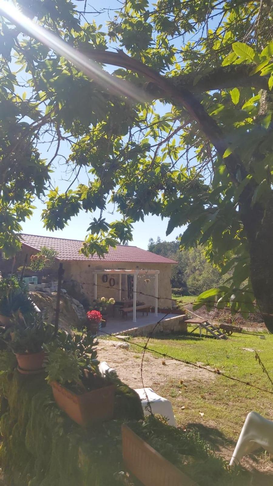 Casa Rustica Con Finca, Regato Dentro Y Piscina Apartment Tui