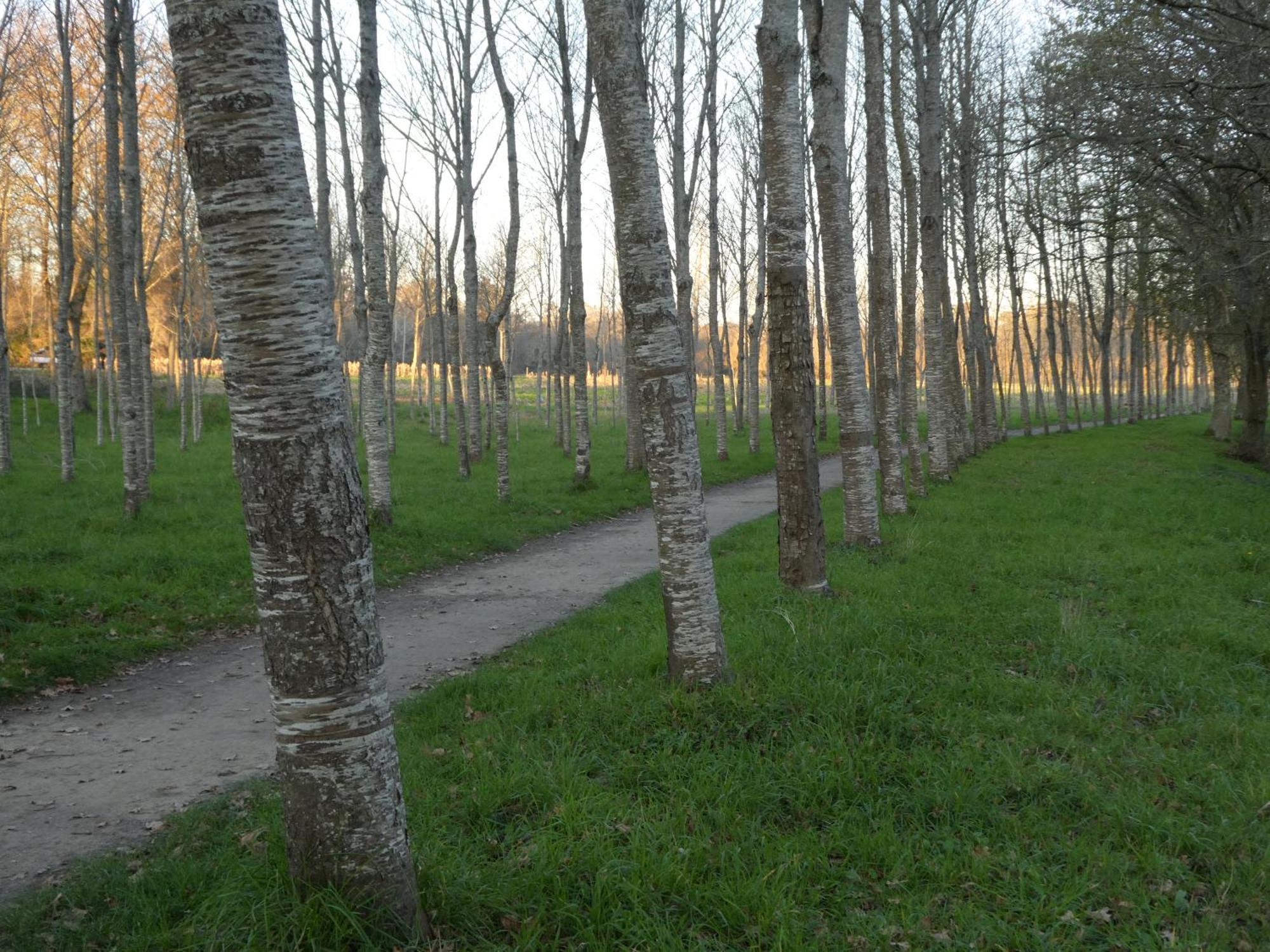 Appartamento Casa Rustica Con Y Regato Dentro Recien Rehabilitada Situada En El Entorno Del Parque Natural Monte Aloia Y Monte De San Antonino Proxima A Gondomar Y Playas De Nigran *